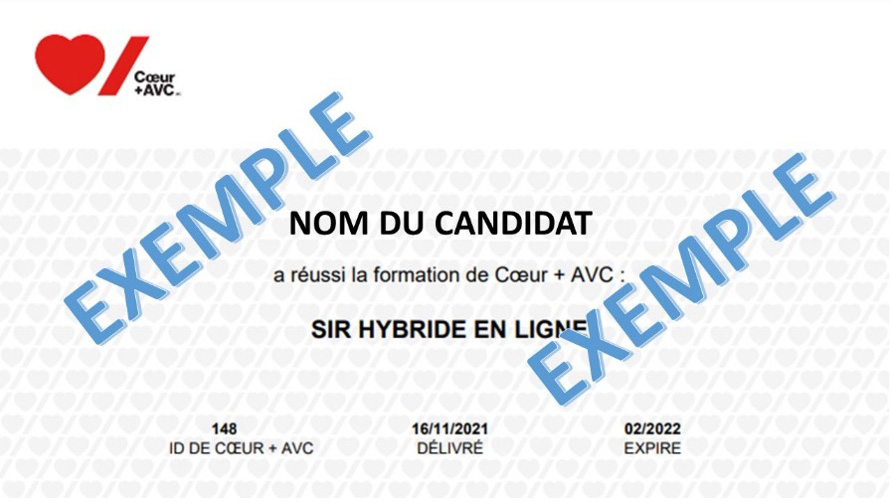 Exemple de certificat pour SIR Hybride en ligne